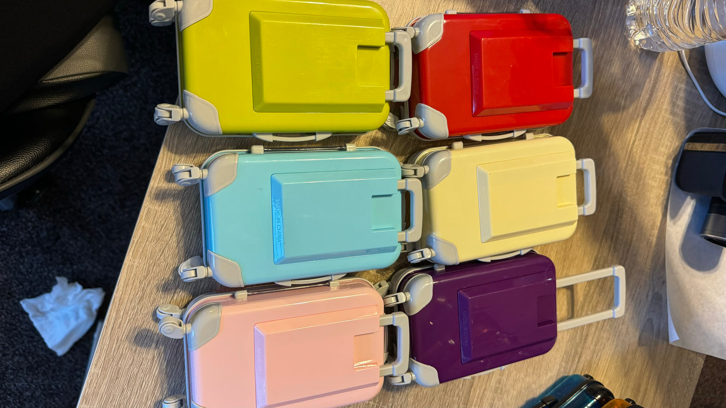 Cute Small Luggage for accessories