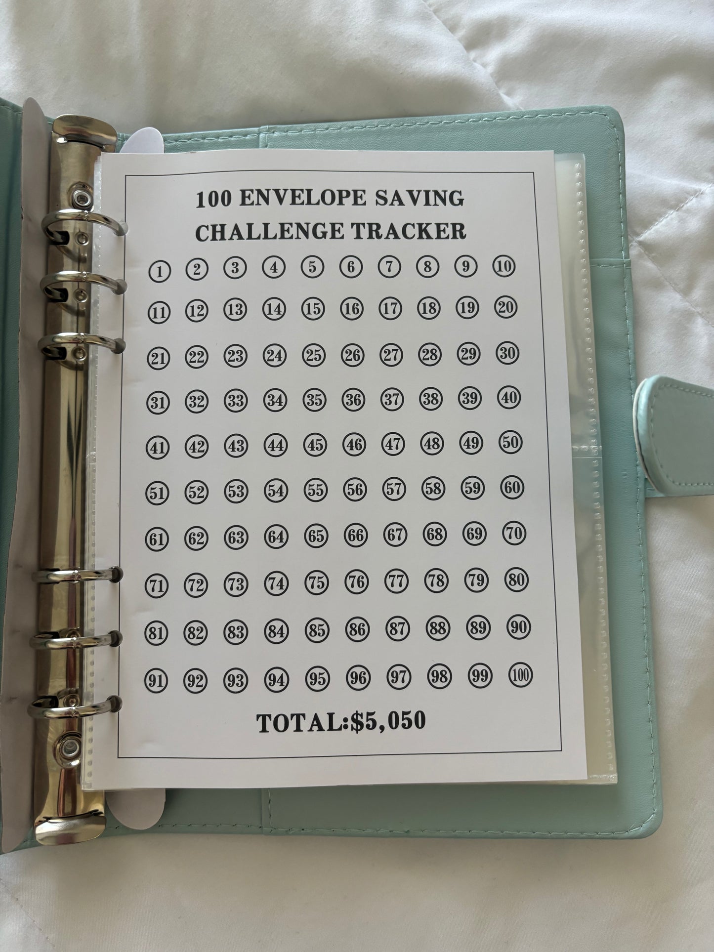 100 Envelope Savings Challenge