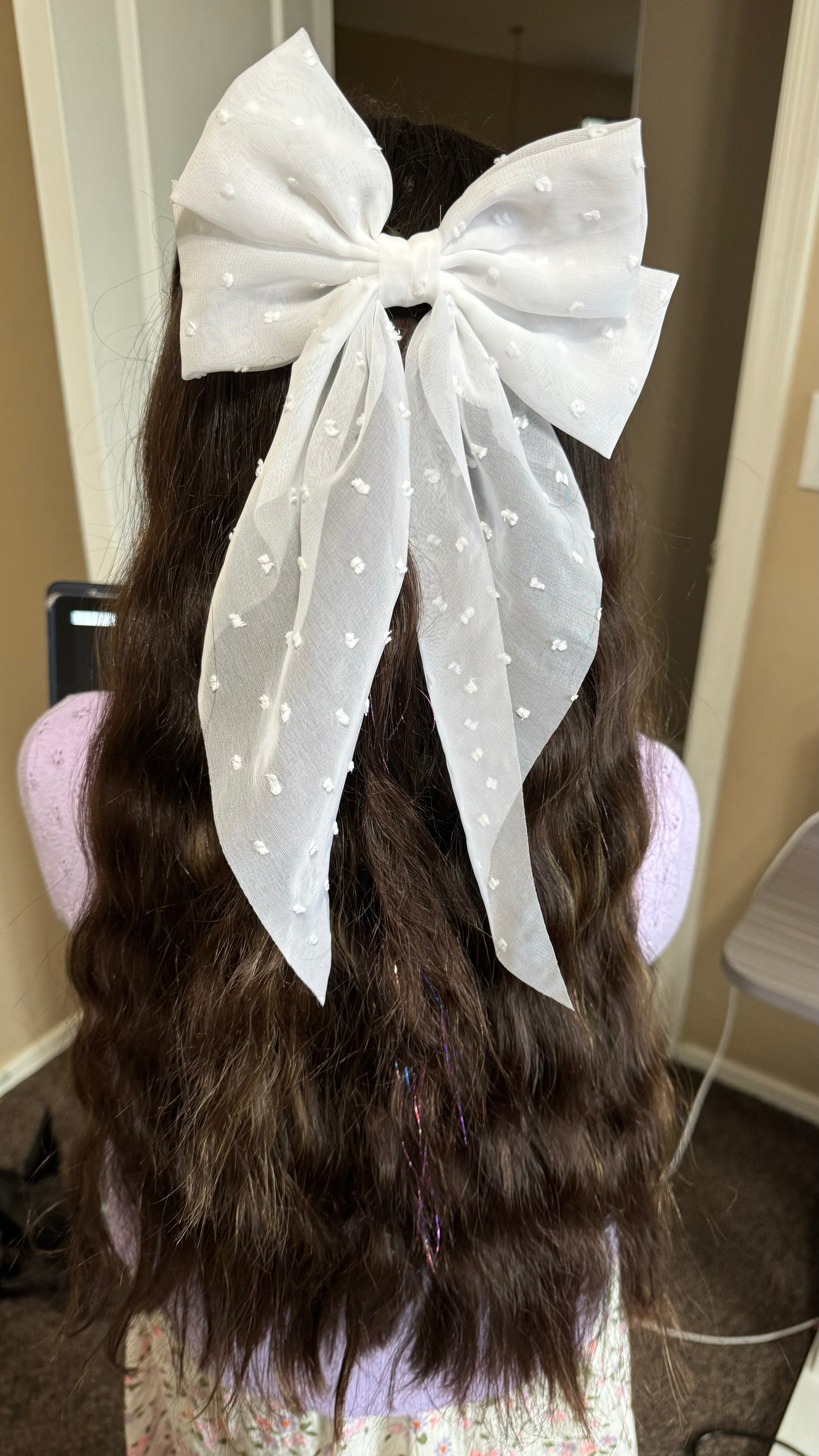 Sheer Hair Bow Clip
