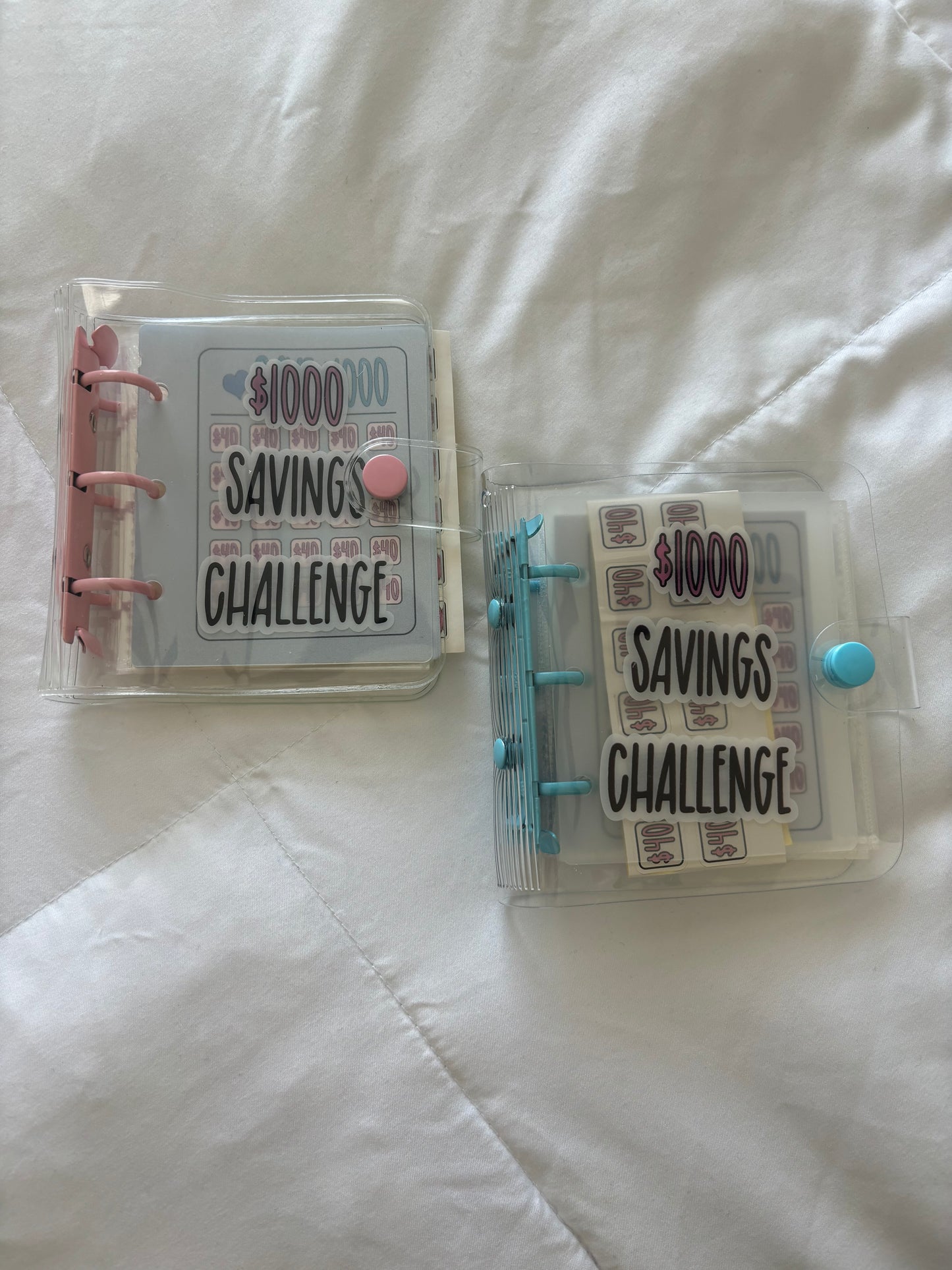 Mini Budget Binders