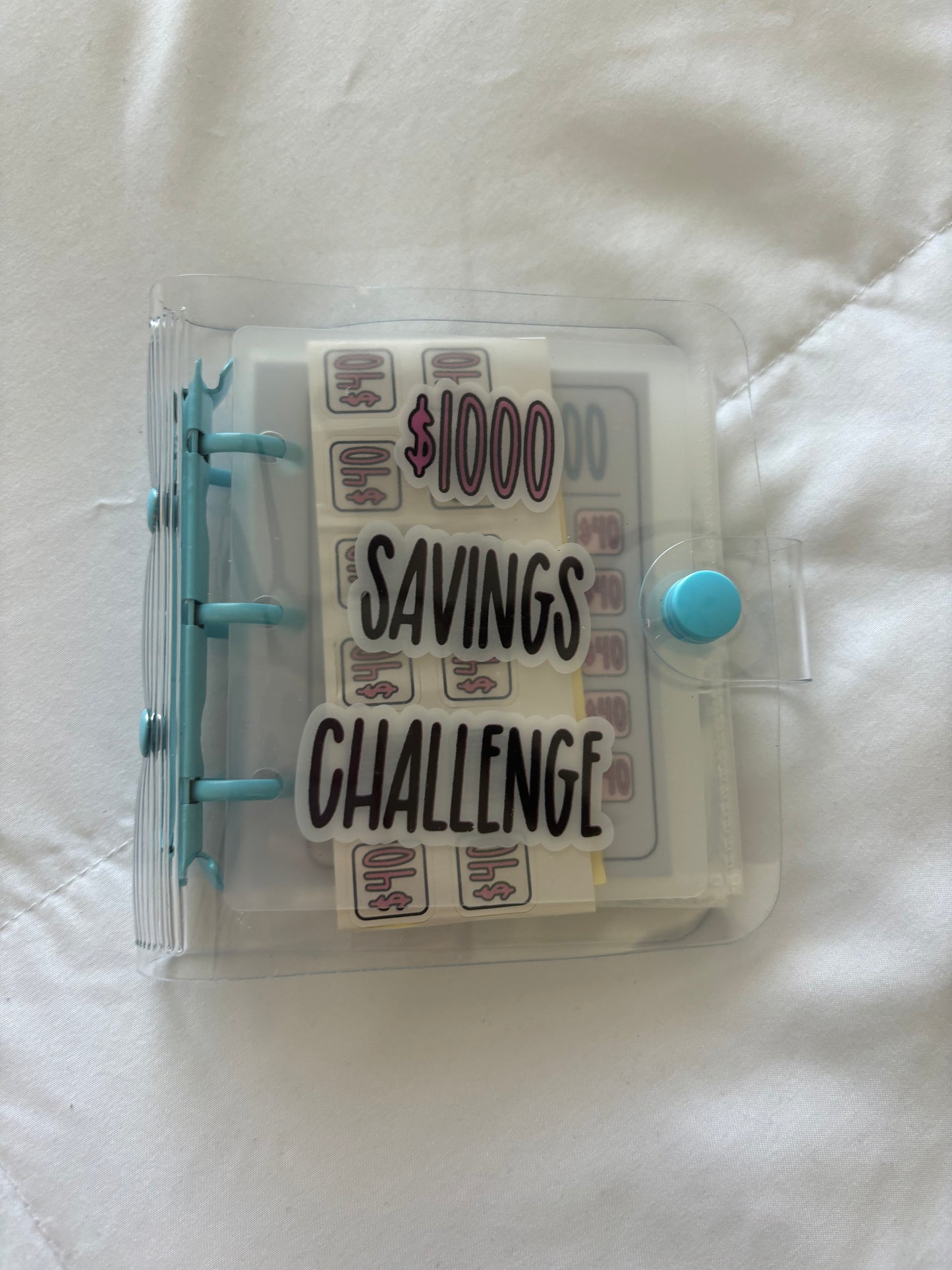 Mini Budget Binders