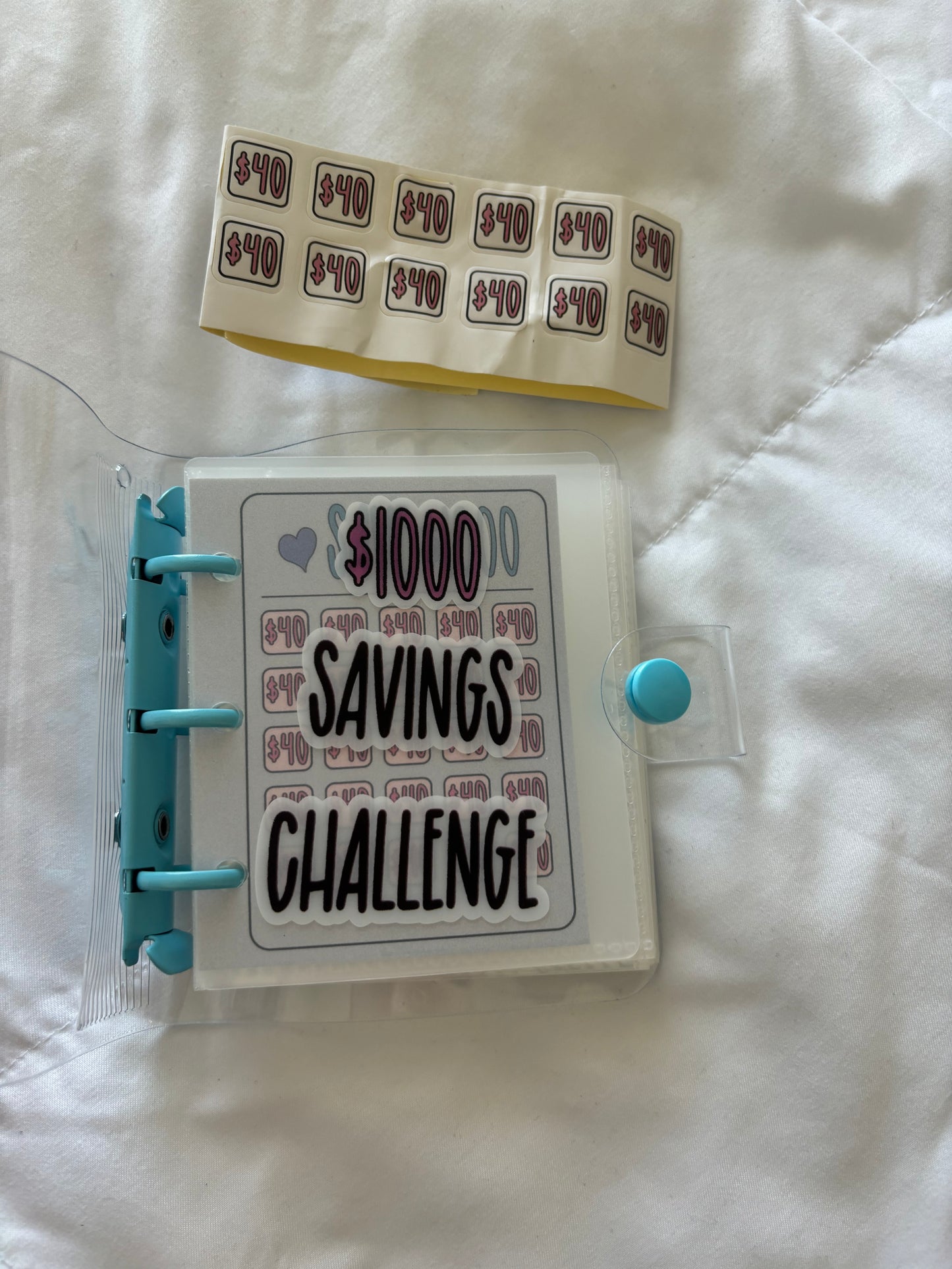 Mini Budget Binders